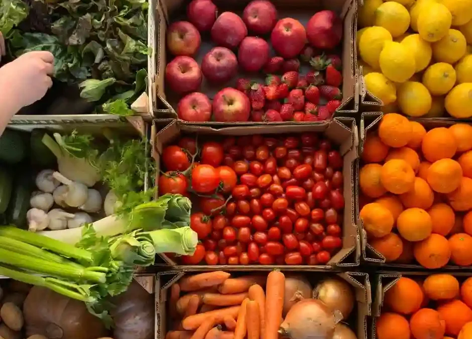 Komisjonowanie owoców warzyw Niemcy