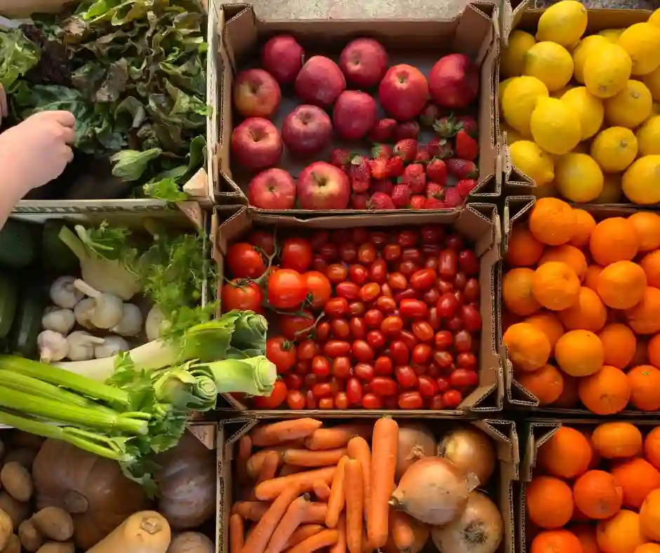 Komisjonowanie owoców warzyw Niemcy