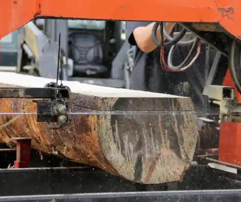 praca cieśla Niemcy