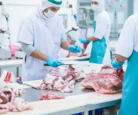 Praca rozbiór wołowiny wieprzowiny Niemcy bez języka