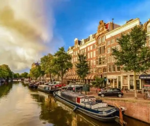 order picker Holandia