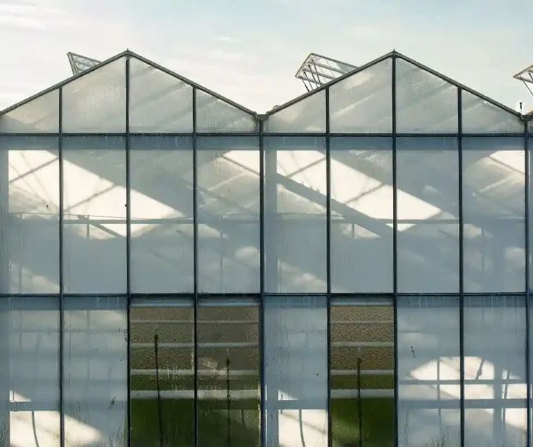 Praca monter szklarni Holandia z zakwaterowaniem