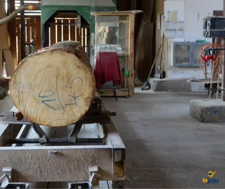 Operator Wózka Widłowego Frontowego Wenzenbach