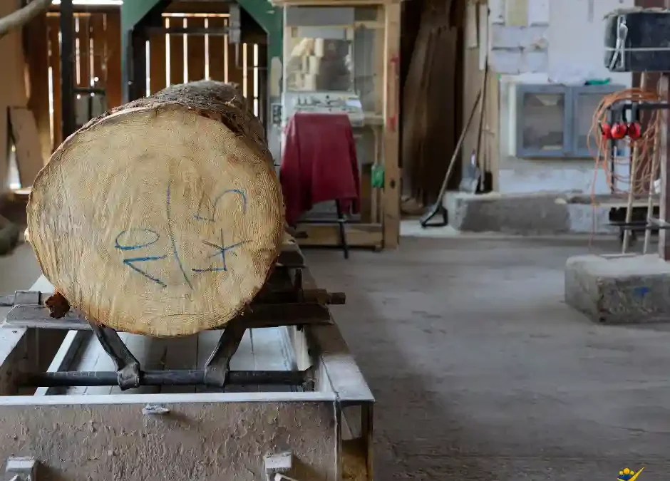 Operator Wózka Widłowego Frontowego Wenzenbach