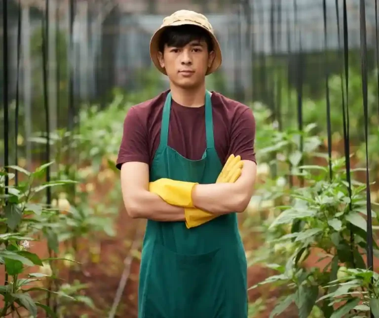 Pracownik Szklarni Papryka Holandia