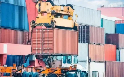 Rozładunek Kontenerów Holandia