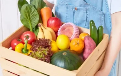 Zbiór i Pakowanie Warzyw Holandia