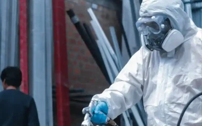 Lakiernik Proszkowy Holandia