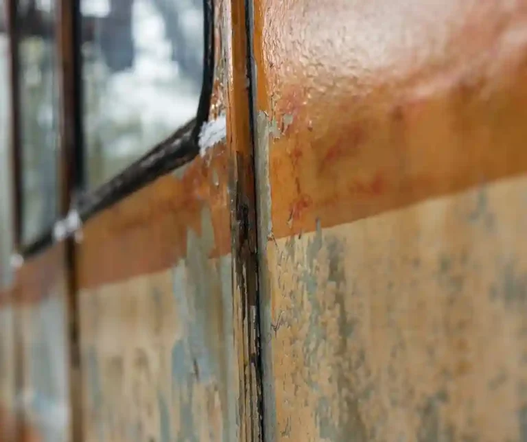 Lakiernik Przemysłowy Elementów Pociągów Niemcy