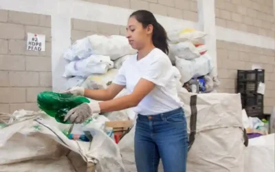 Praca recykling Holandia wysoka stawka