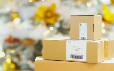 Praca sezonowa Holandia bez języka