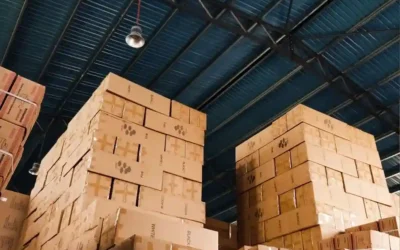 Pracownik Magazynu Holandia od zaraz